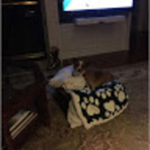 Meet your Posher, Cletus